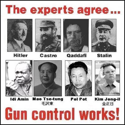 experts gun control