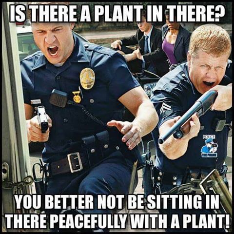 is there a plant ewon